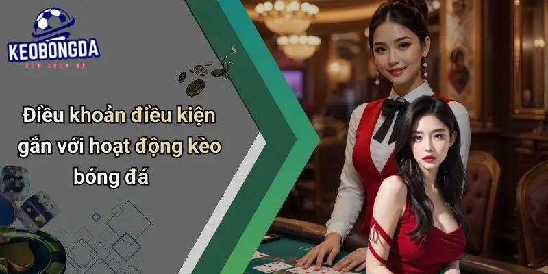 Điều khoản điều kiện 3 Điều Khoản Điều Kiện