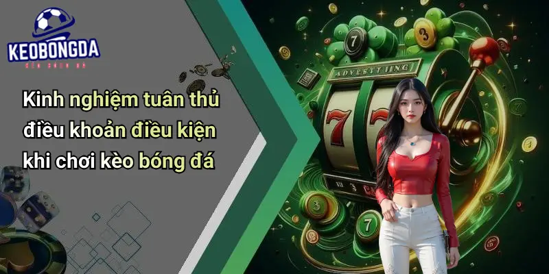 Điều khoản điều kiện 4 Điều Khoản Điều Kiện