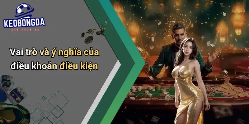 Điều khoản điều kiện 1 Điều Khoản Điều Kiện