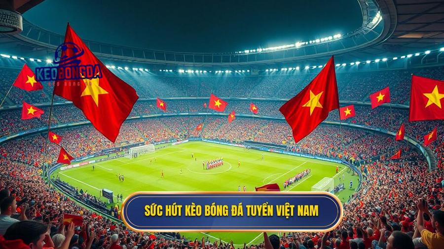 Sức hút kèo bóng đá tuyển Việt Nam
