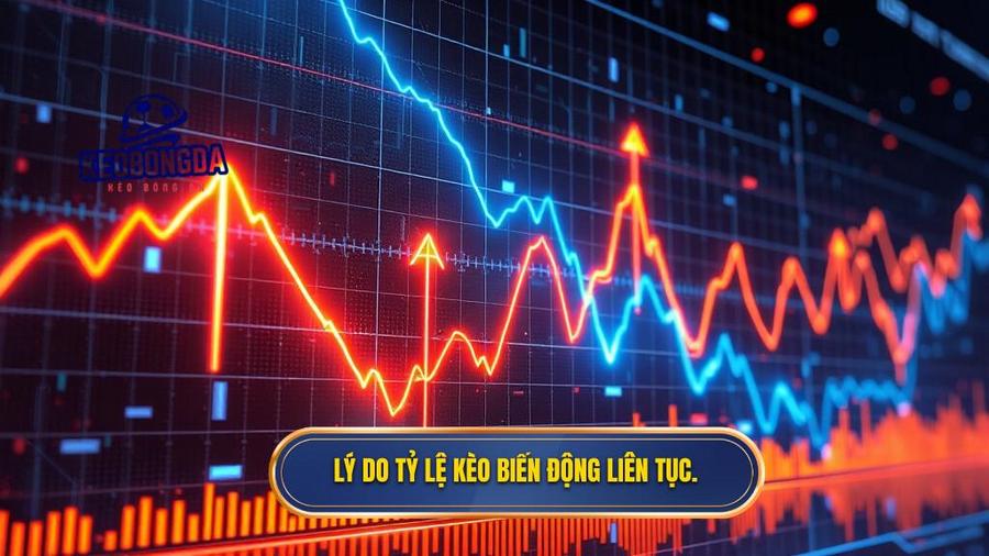 2. Lý do tỷ lệ kèo biến động liên tục.