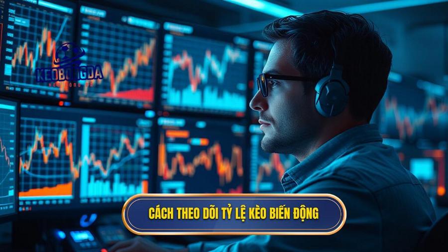 3. Cách theo dõi tỷ lệ kèo biến động
