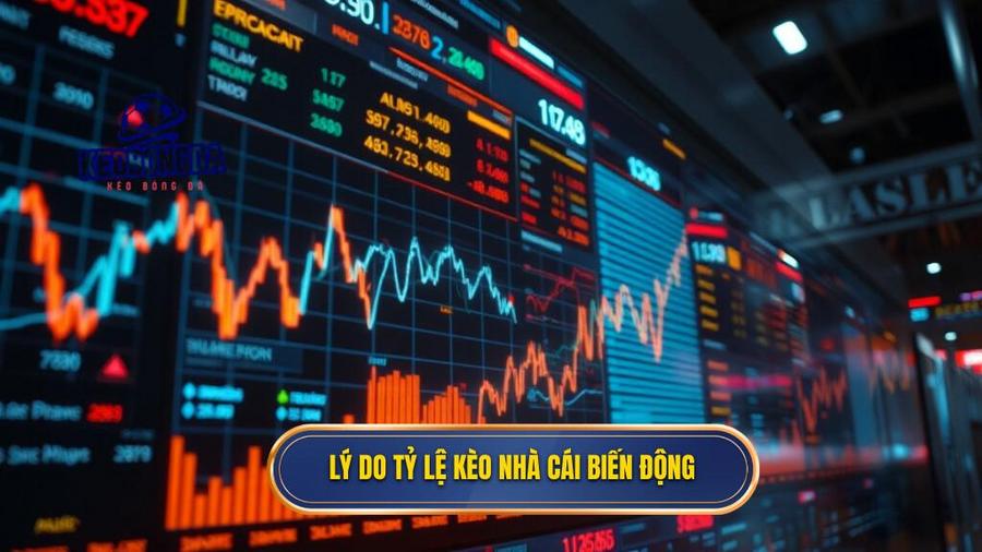 Bảng kèo nhà cái chính thức: Cẩm nang soi kèo và đọc vị nhà cái từ chuyên gia 3 3. Lý do tỷ lệ kèo nhà cái biến động