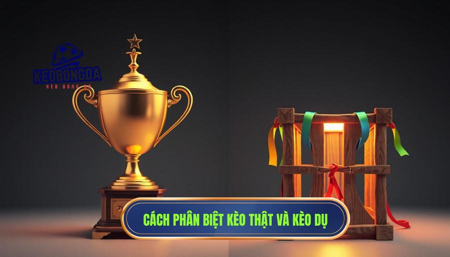 Kèo ngon không phải lúc nào cũng là kèo nên chơi: Nghệ thuật nhận diện "bẫy" nhà cái 3 Phân biệt Kèo Thật và Kèo Dụ