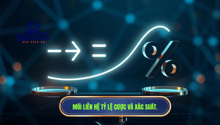 Mối liên hệ giữa tỷ lệ cược và xác suất thực tế