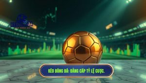 Tỷ lệ cược phản ánh điều gì? Phân tích chuyên sâu từ góc nhìn chuyên gia