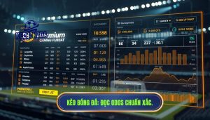 Đọc bảng odds như thế nào? Cẩm nang chi tiết dành cho người mới bắt đầu